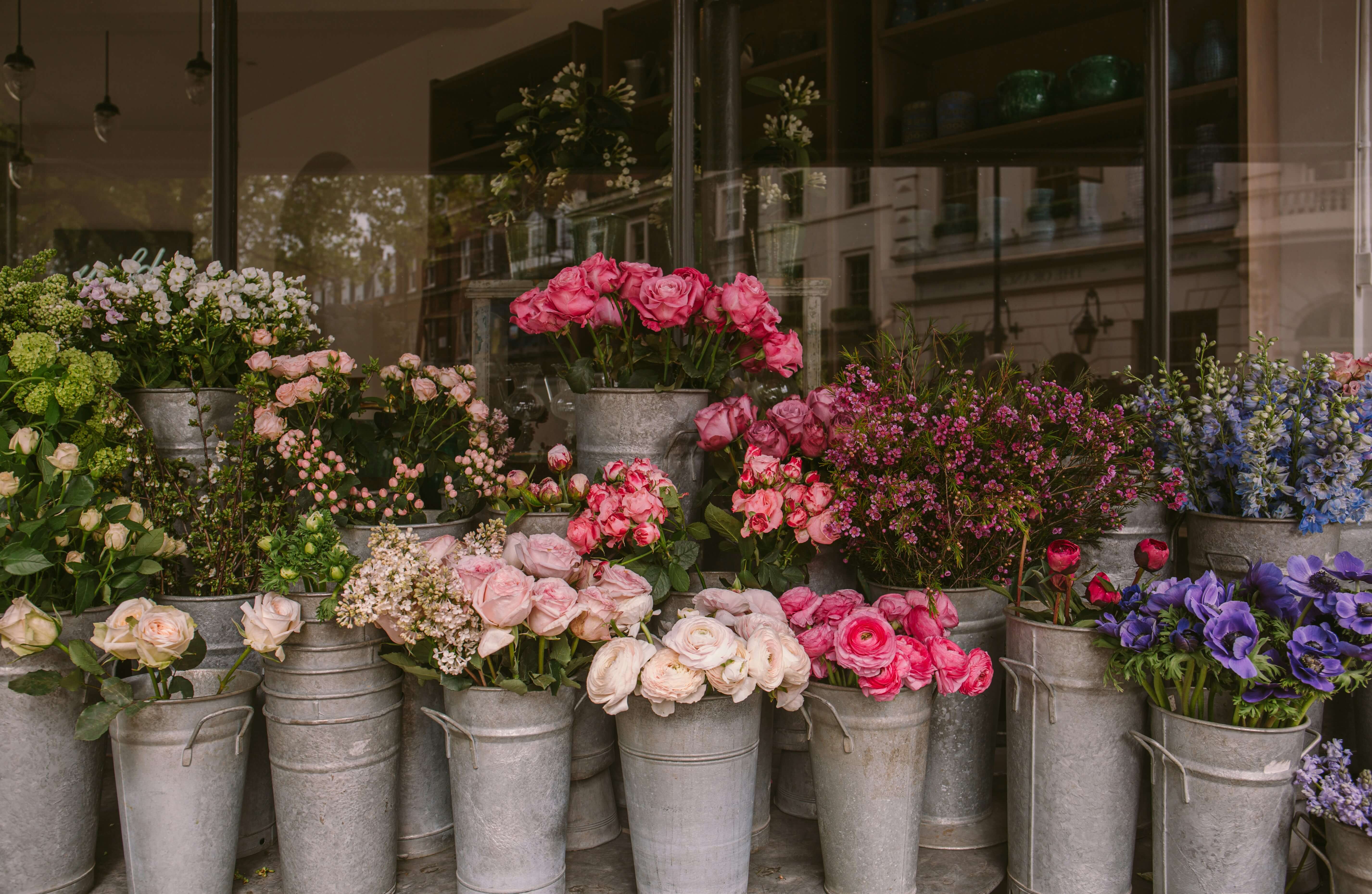 Flowers in buckets
